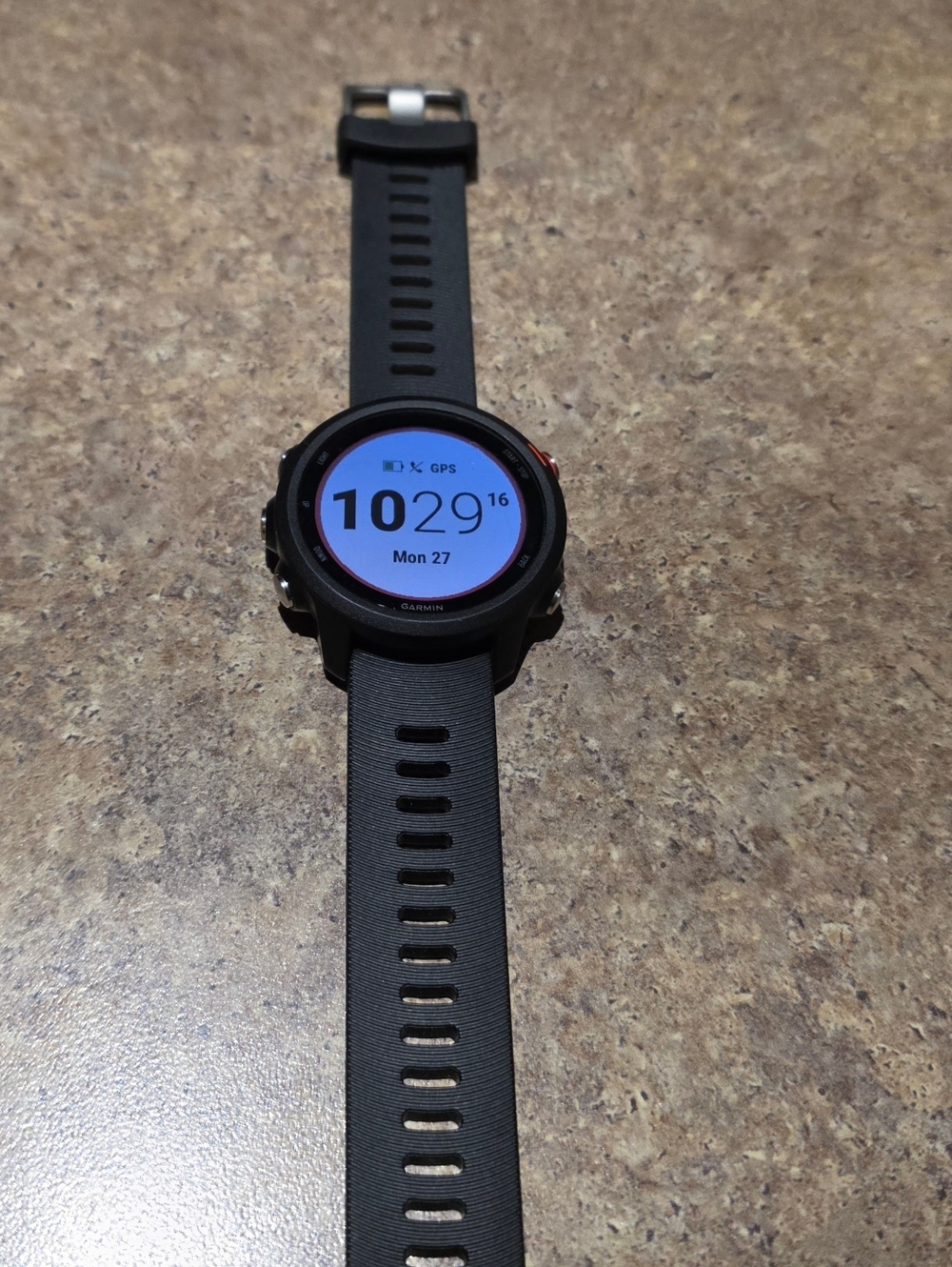 garmin Black Forerunner 245 Music Smartwatch with Black Silicone Band